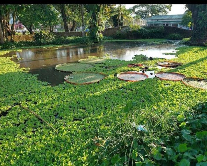 Hotel Alto Amazonas 莱蒂西亚 外观 照片
